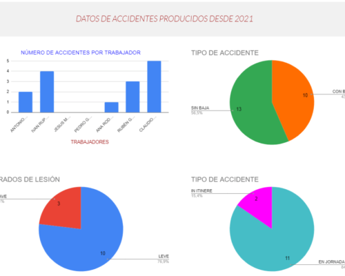 Software Prevencion De Riesgos Graficos Accidentes